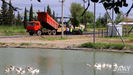 Fəqan Cahangirov: Yol mədəniyyətdir