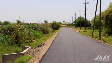 Fəqan Cahangirov: Yol mədəniyyətdir