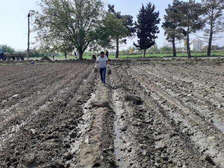 Bu gün çox dəyərli insan Vüqar Səlimovun doğum günüdür