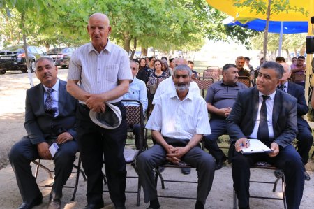 Neftçala rayon İcra Hakimiyyətində silsilə tədbirlər davam edir