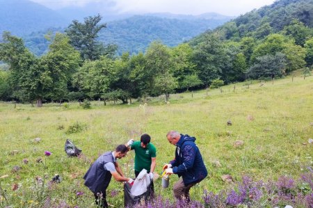 Göygöl Mənzil Kommunal Təsərrüfatı İstehsalat Birliyinin rəisi Pərvin Rəhimov vəzifəsini şərələ yerinə yetirir