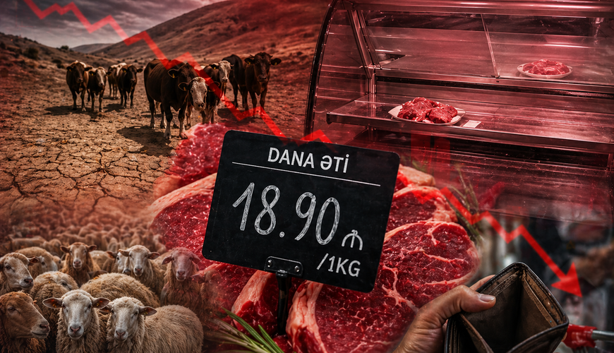 UversitySkateboards25