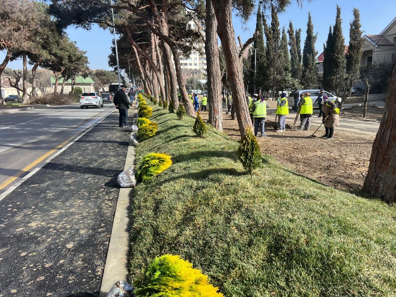 Suraxanı rayonunda abadlıq, təmizlik və dayanıqlı şəhər mühitinin formalaşmasında Mais Məmmədovun idarəçilik fəaliyyəti