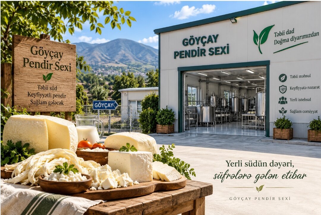 Südün Saflığından Süfrənin Sevilən Dadına – Göyçay Pendir Sexi və Mustafa Müəllim